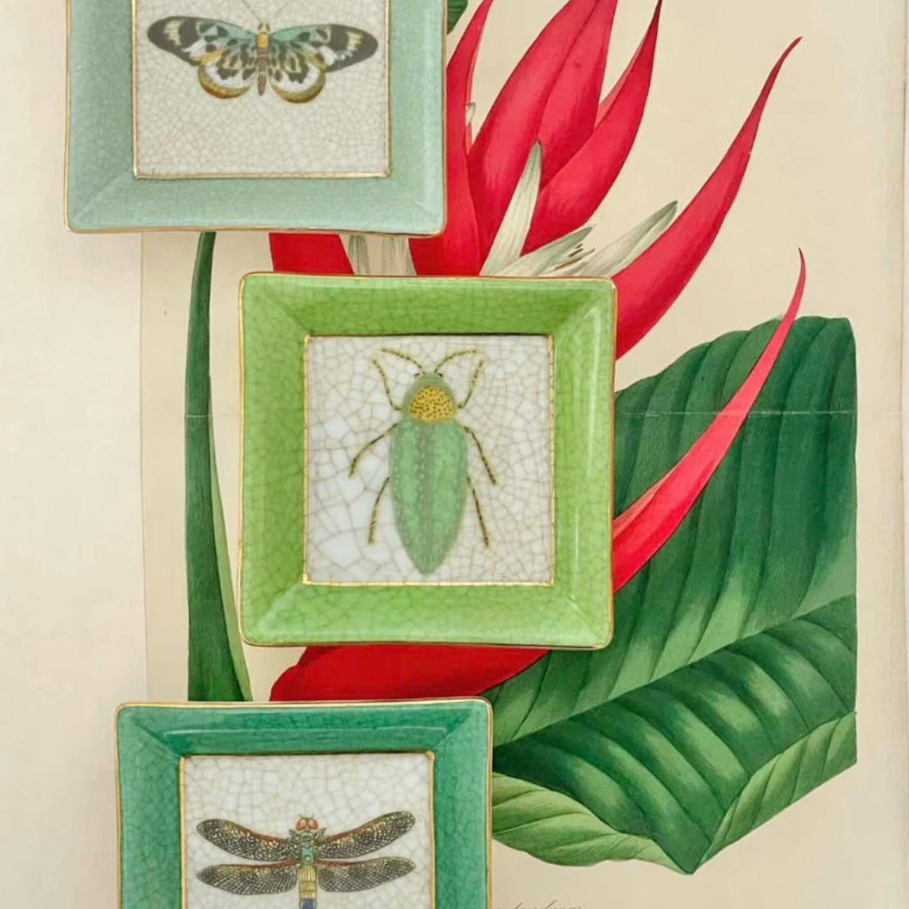 Exotica Wall Plate | Buprestis by C.A.M. in stock at Rose St Trading Co