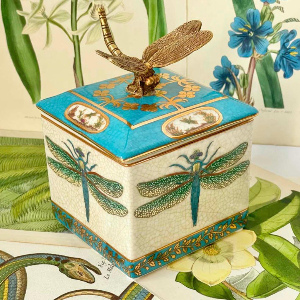 Exotico Trinket Box | Libelula by C.A.M. in stock at Rose St Trading Co