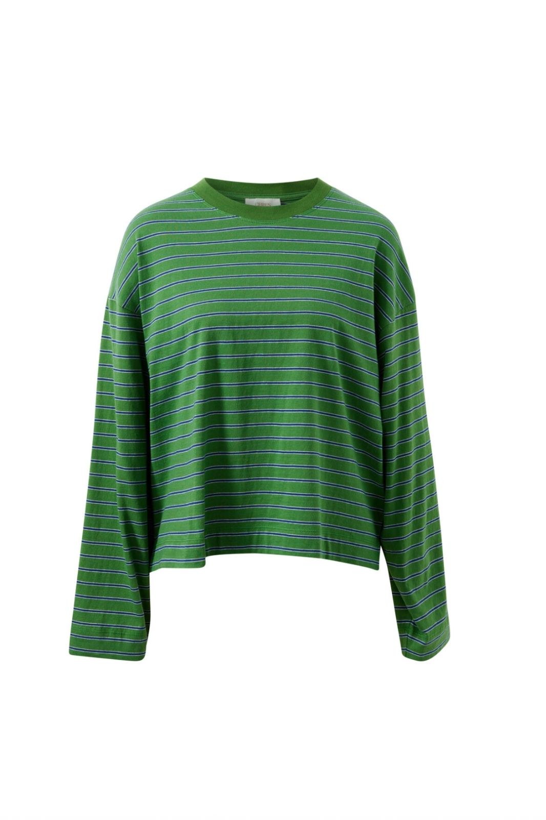 Beau Long Sleeve Slouchy Tee | Basil/Prussian Blue Stripe