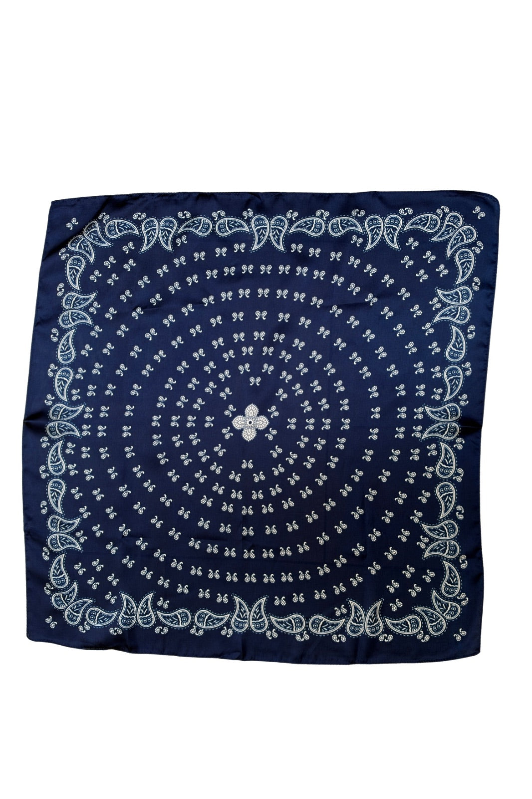 Scarf | Navy &amp; White Simple Paisley