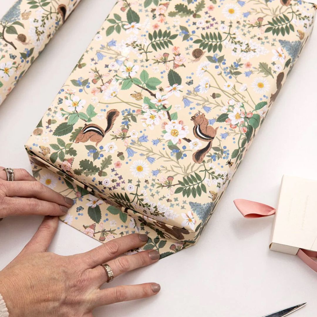 Gift Wrap Roll 3m | Chipmunk