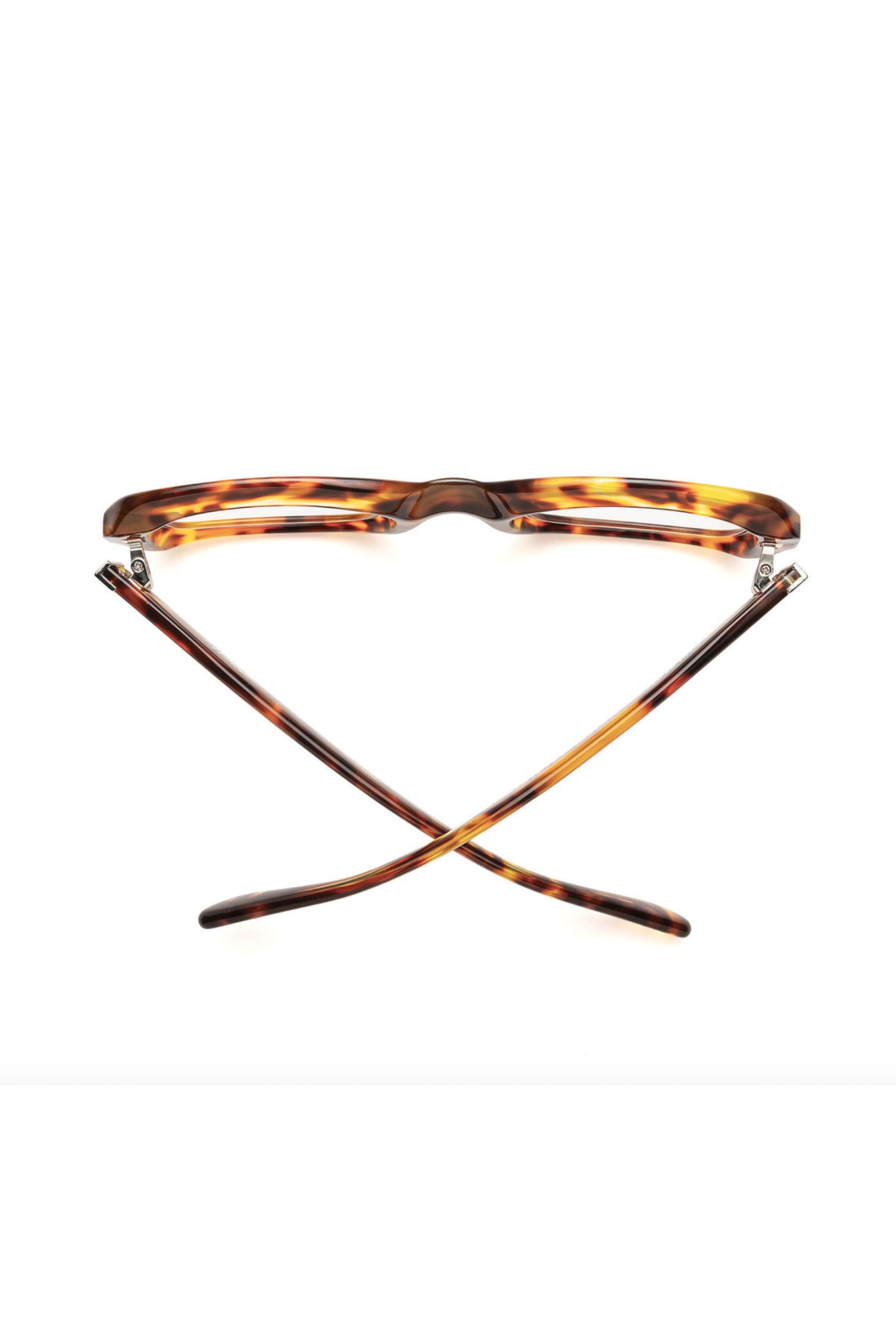 SHELBY | Polished Terrapin