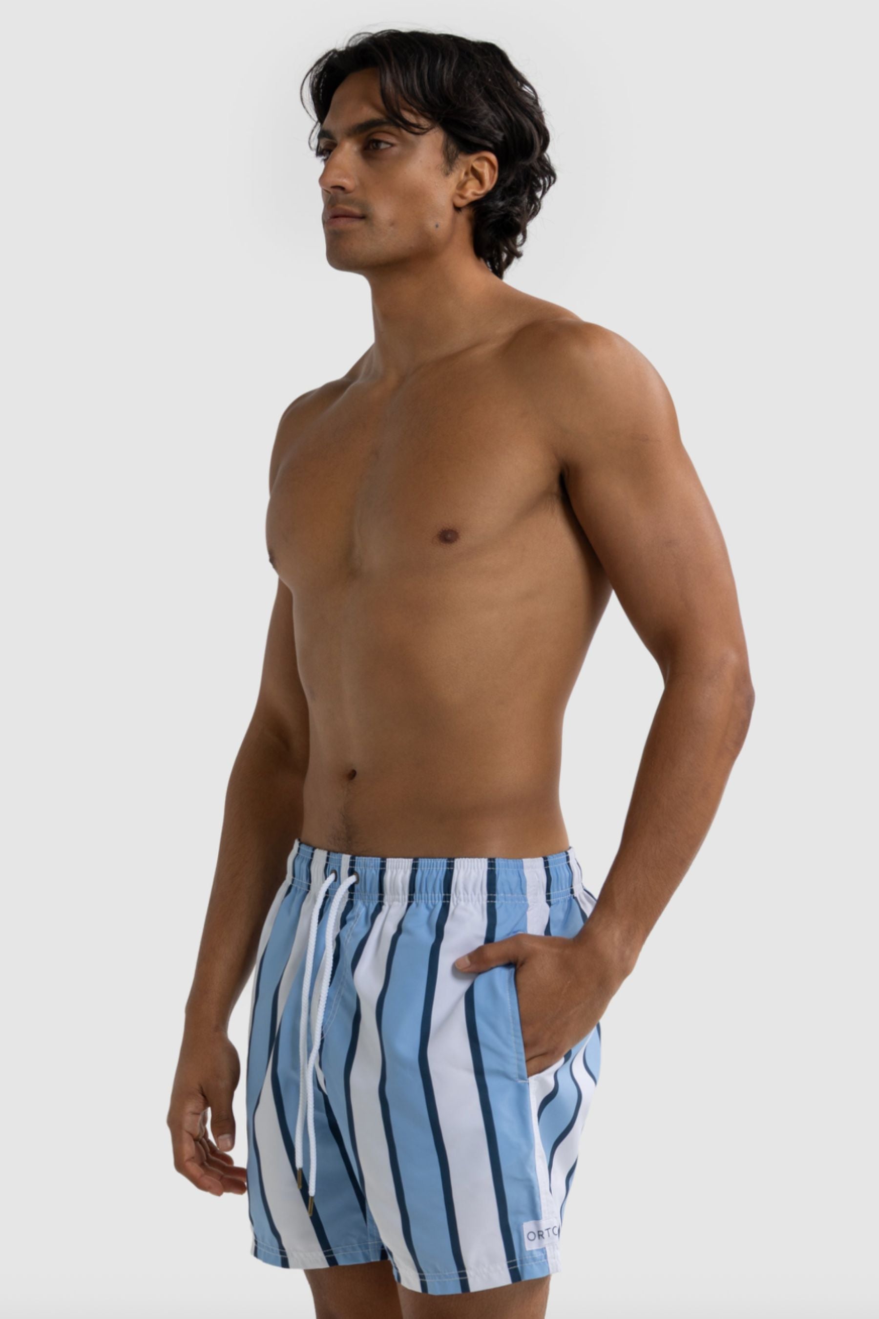 Hamelin Stripe Swim Shorts | Blue