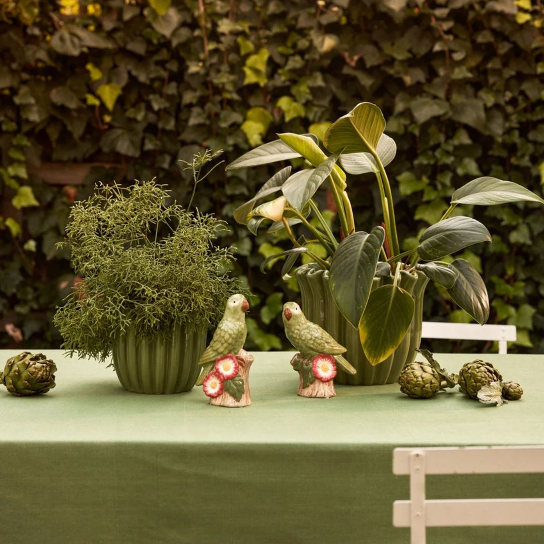 Green Parrot | 2 Sizes