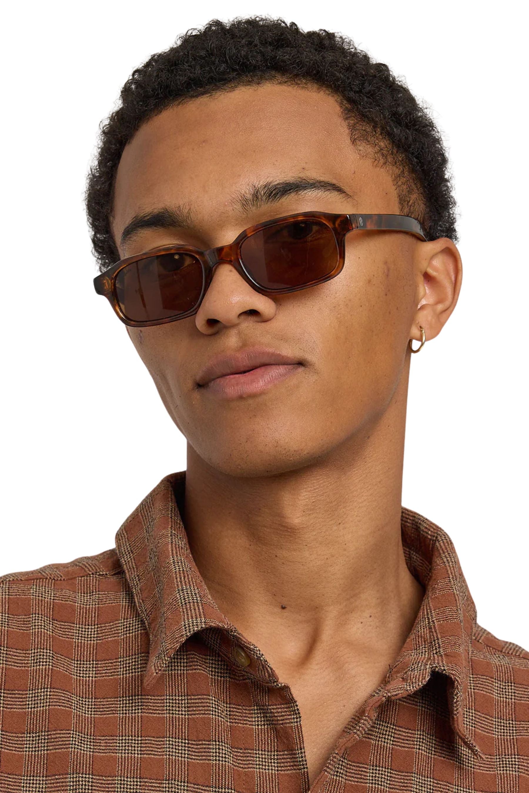 The Buzz Sunglasses | Turtle/Dark Brown