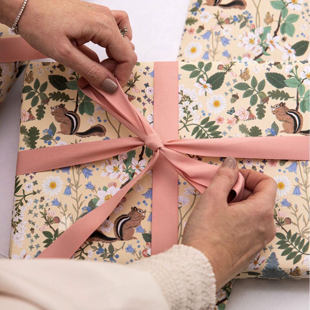 Gift Wrap Roll 3m | Chipmunk