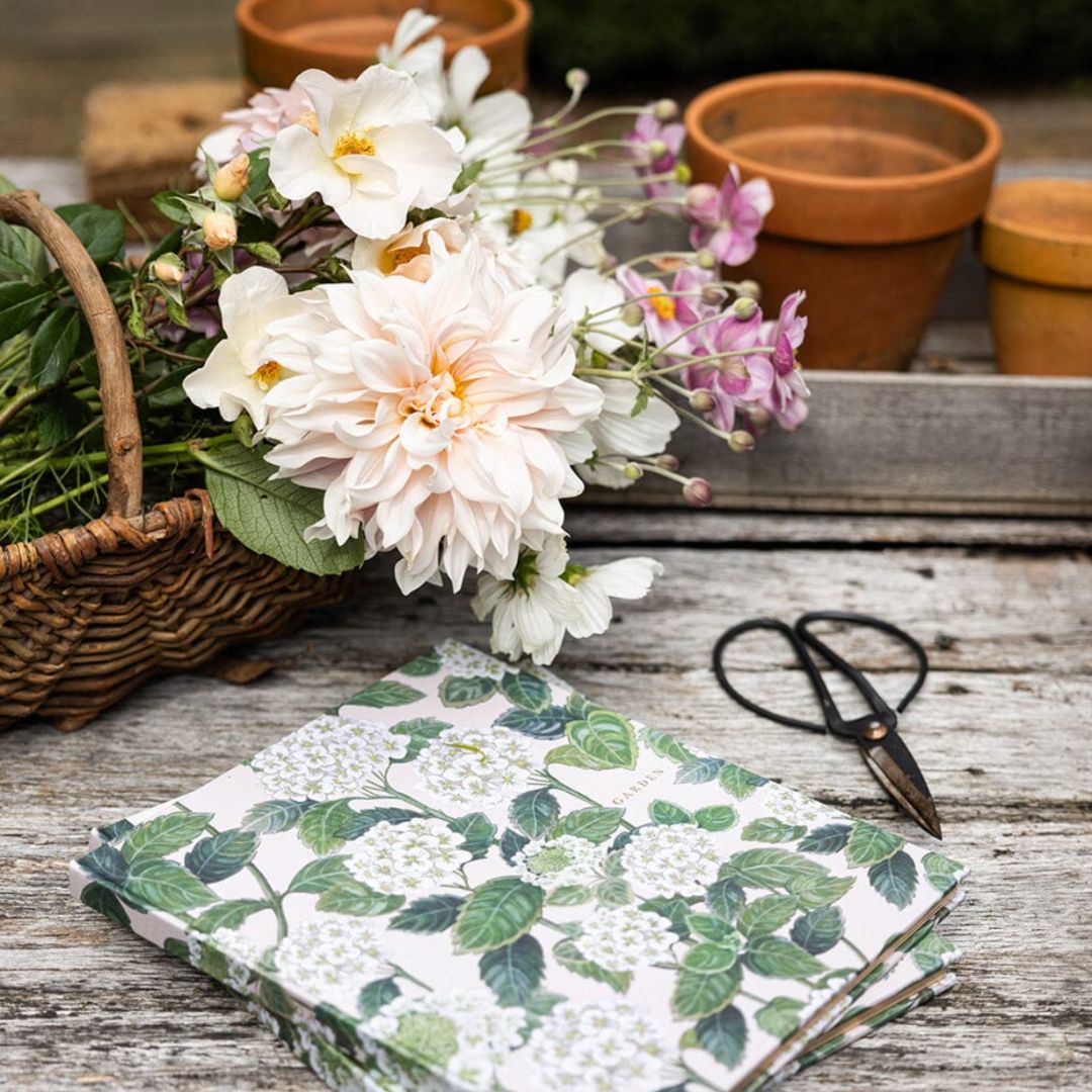 Heirloom Gardening Journal | Hydrangea