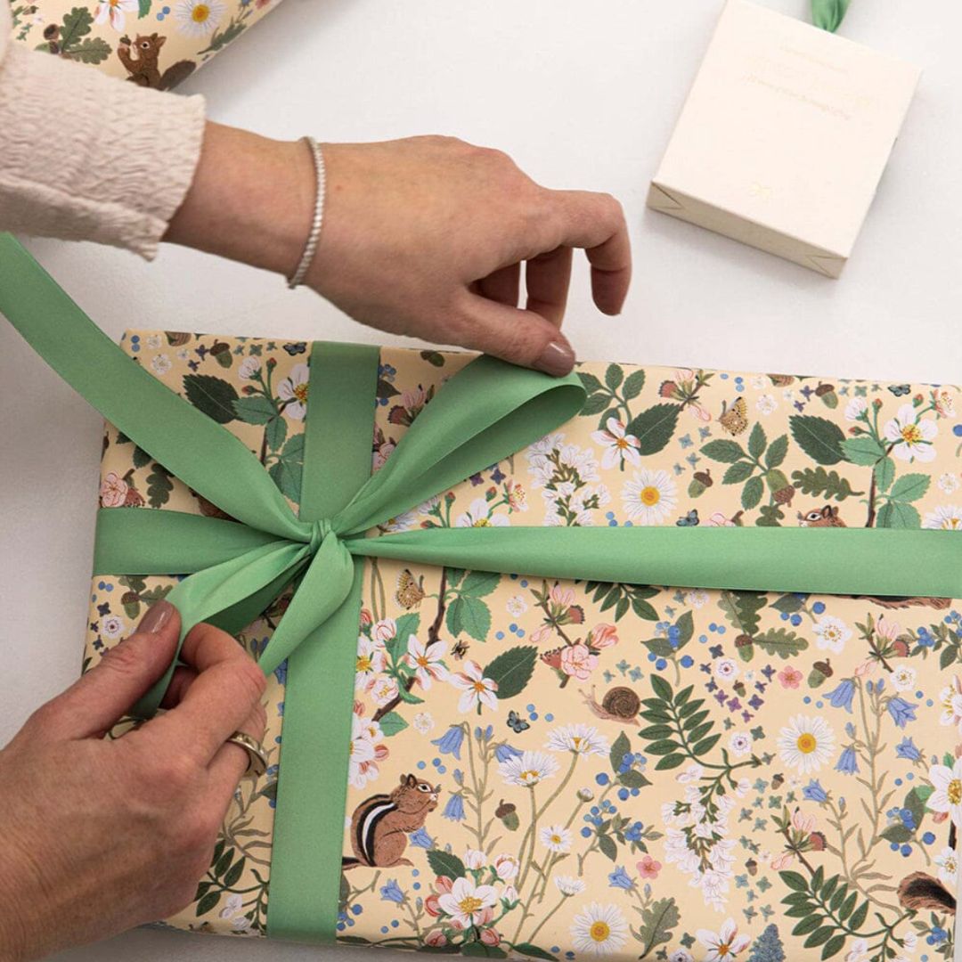 Gift Wrap Roll 3m | Chipmunk