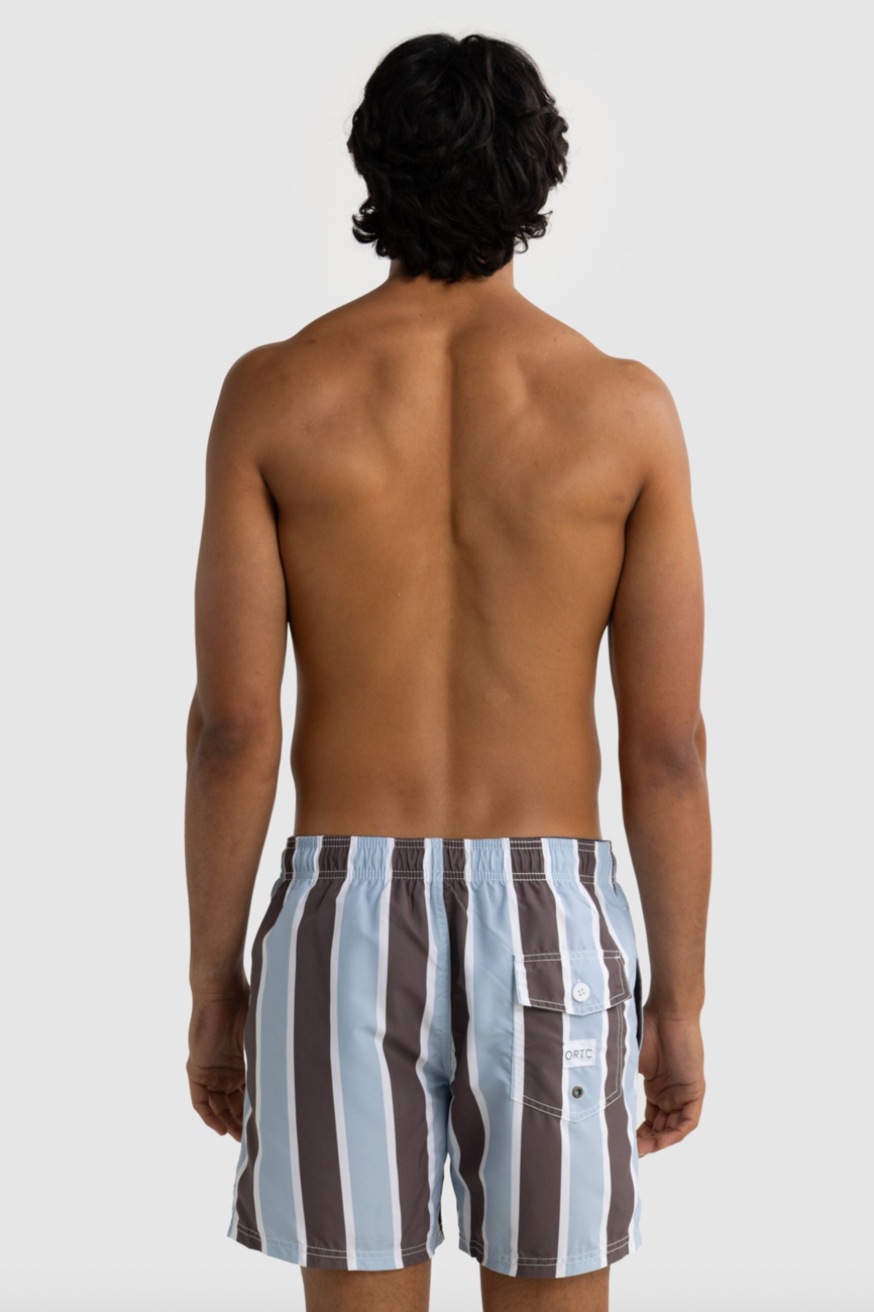 Hamelin Stripe Swim Shorts | Bark &amp; Mist Blue