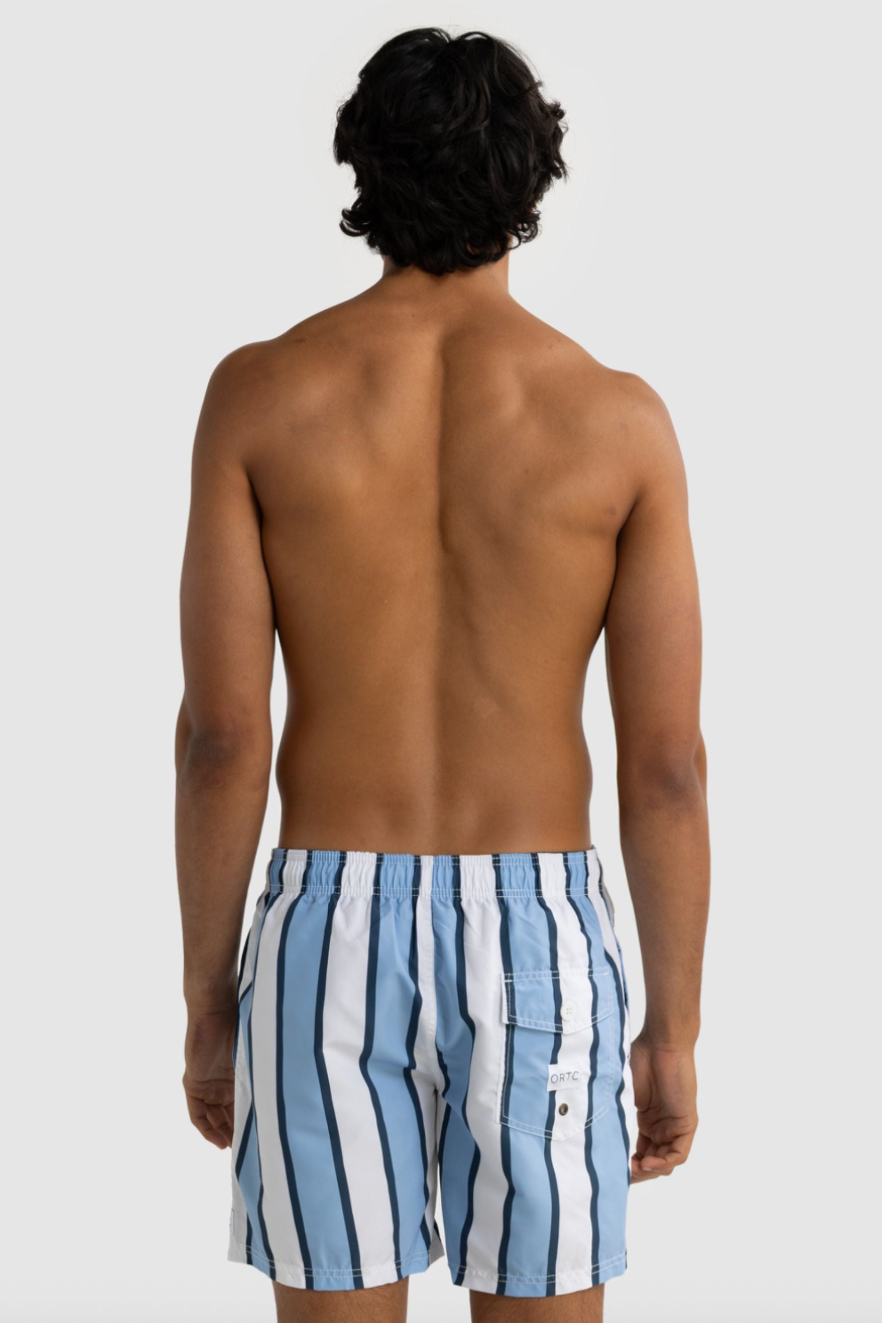 Hamelin Stripe Swim Shorts | Blue