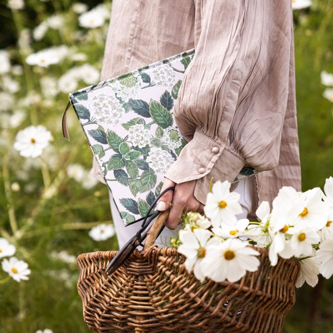Heirloom Gardening Journal | Hydrangea