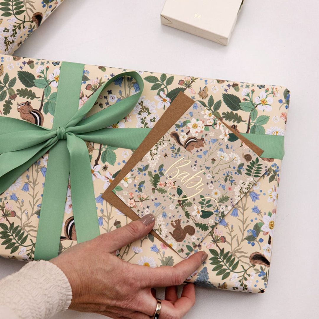 Gift Wrap Roll 3m | Chipmunk