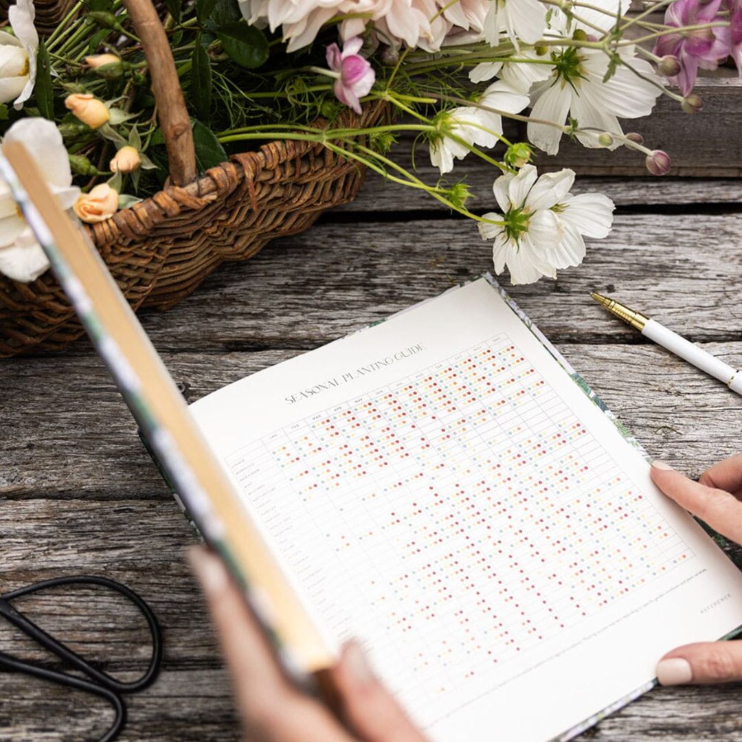 Heirloom Gardening Journal | Hydrangea