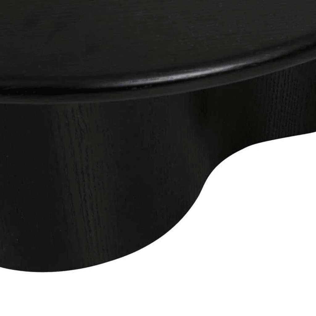 Globe West  Artie Wave Coffee Table | Black Oak available at Rose St Trading Co