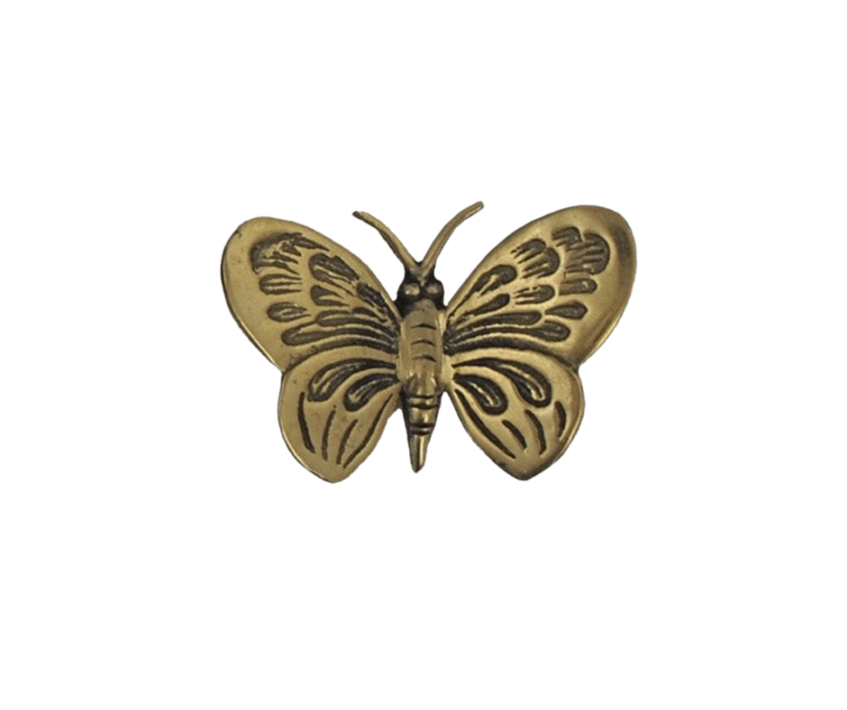 RSTC  Brass Butterfly Monarch | Large available at Rose St Trading Co