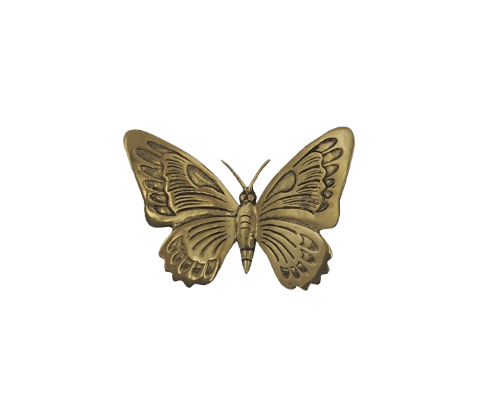 RSTC  Brass Butterfly Ulysses | Large available at Rose St Trading Co