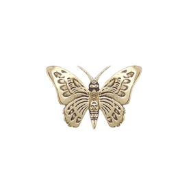RSTC  Brass Butterfly Ulysses | Small available at Rose St Trading Co