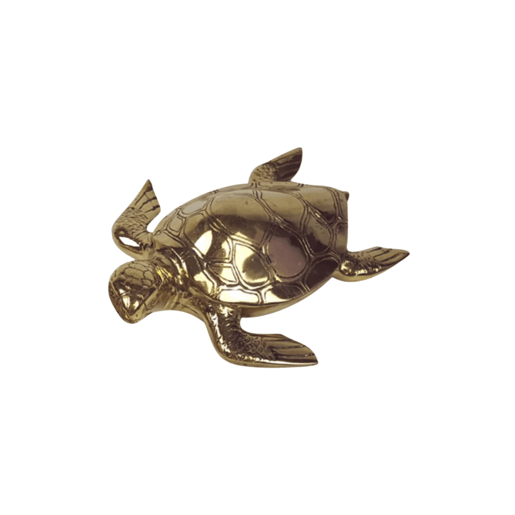 RSTC  Brass Turtle | Medium available at Rose St Trading Co