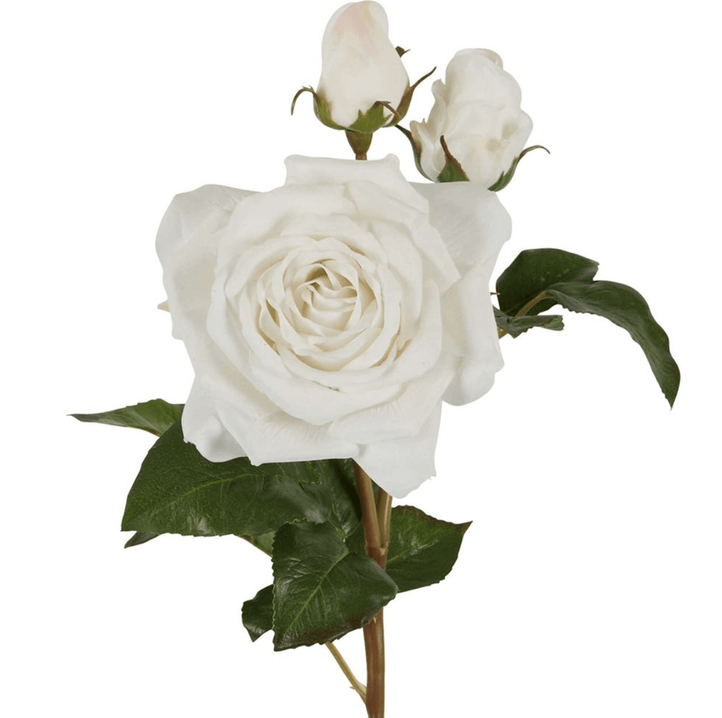 RSTC  Bud Real Touch Rose Stem |53cm White available at Rose St Trading Co