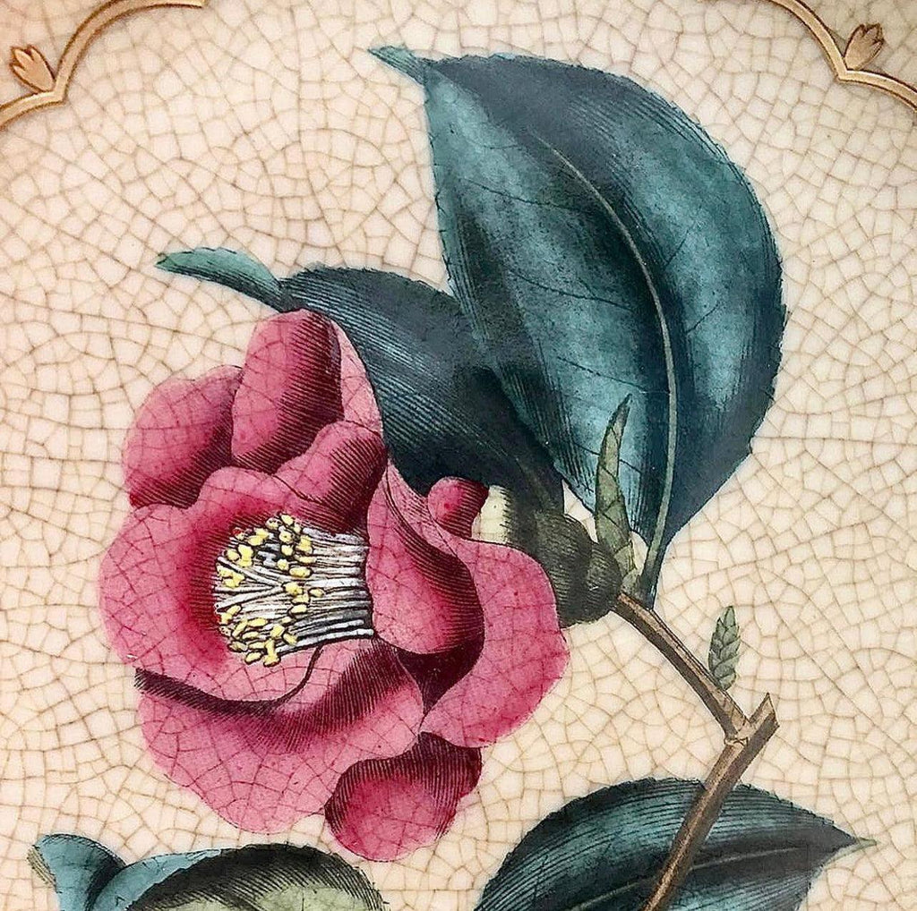 C.A.M.  Camellia Plate available at Rose St Trading Co