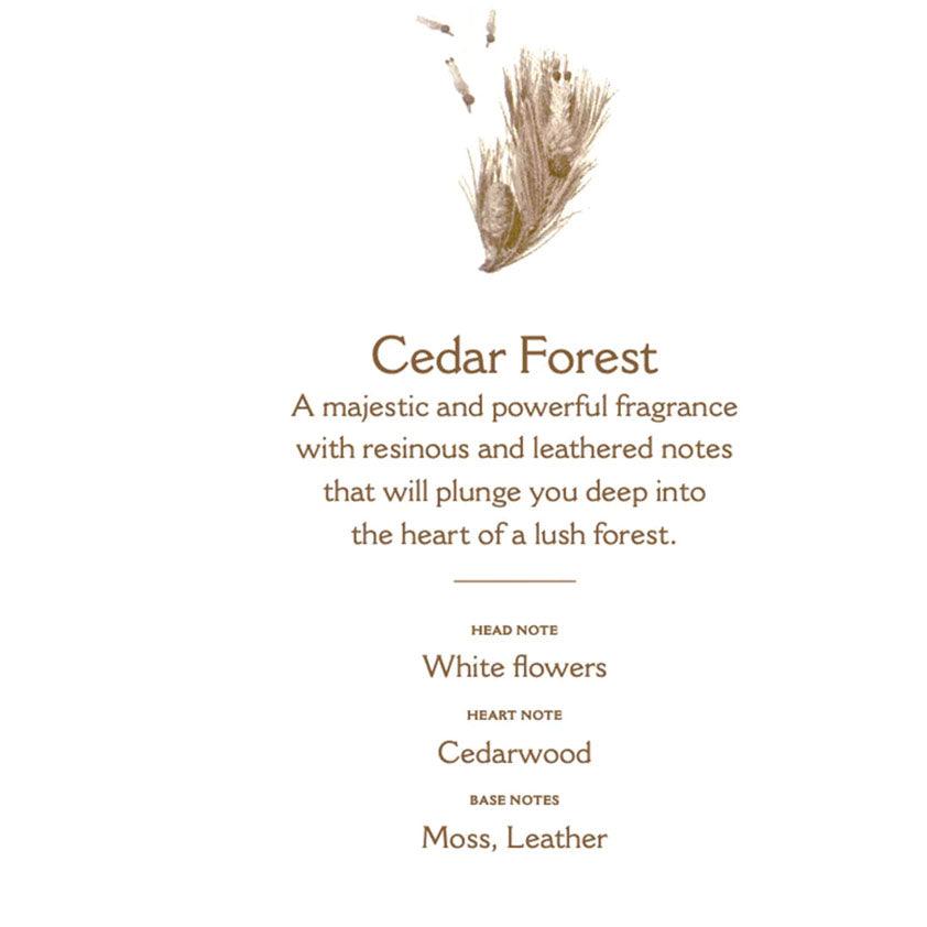 Panier de Sens  Cedar Forest Room Spray available at Rose St Trading Co