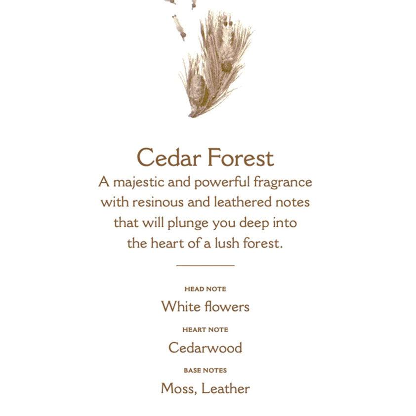 Panier de Sens  Cedar Forest Scented Candle available at Rose St Trading Co