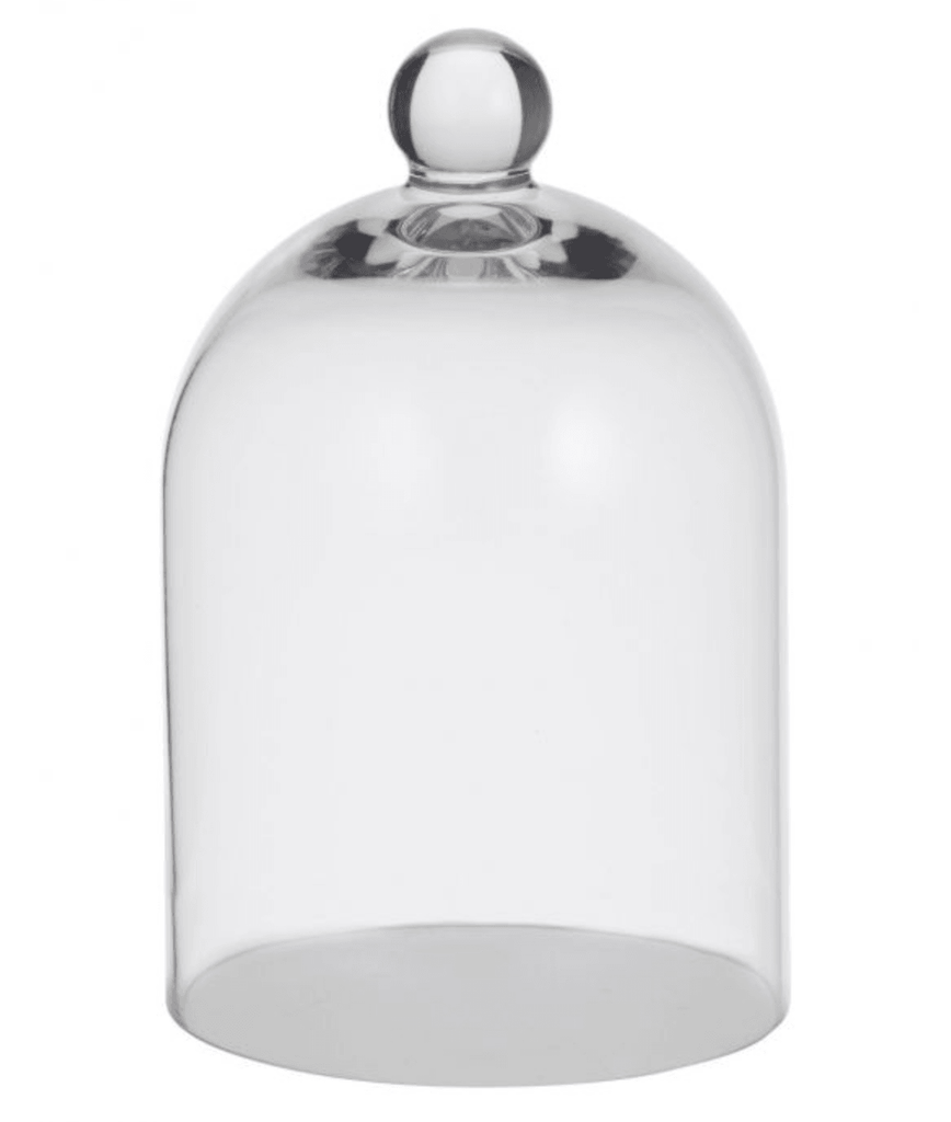 RSTC  Dome - St Claire 20cm available at Rose St Trading Co