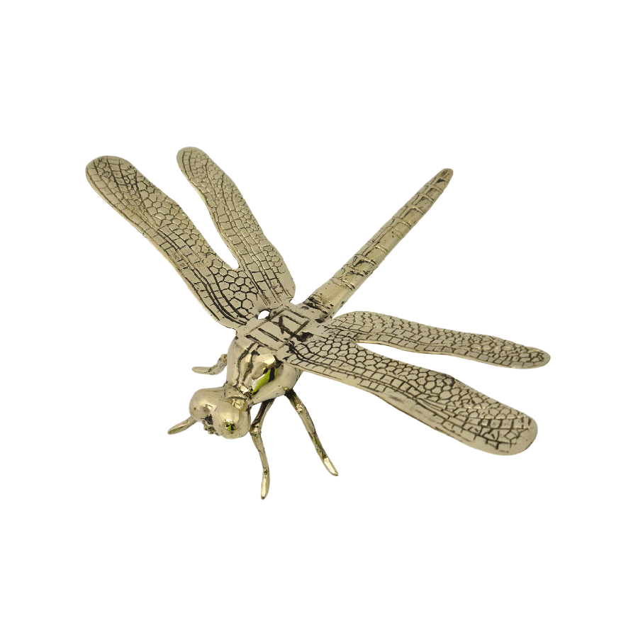 RSTC  Dragonfly Gold | Large available at Rose St Trading Co