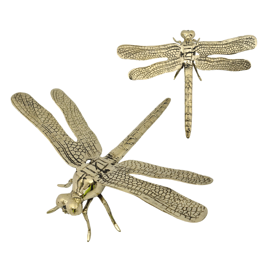 RSTC  Dragonfly Gold | Medium available at Rose St Trading Co