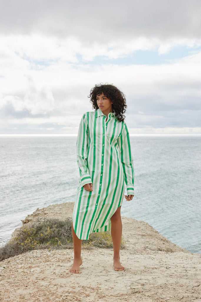 Finn Shirt Dress | Midori Stripe - Rose St Trading Co