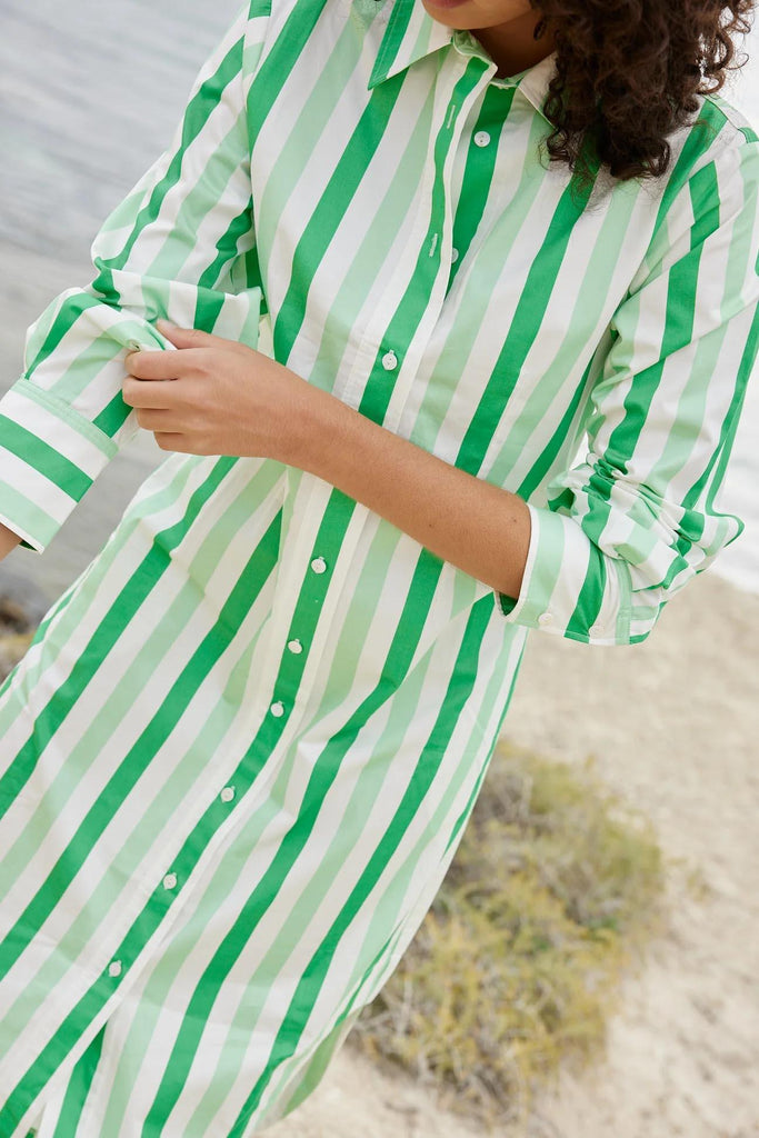 Finn Shirt Dress | Midori Stripe - Rose St Trading Co