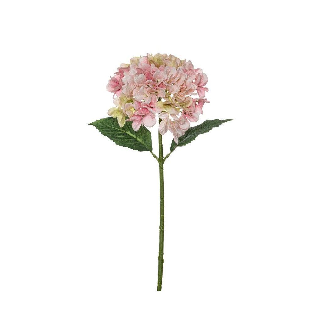 RSTC  Garden Hydrangea Stem | Pink available at Rose St Trading Co