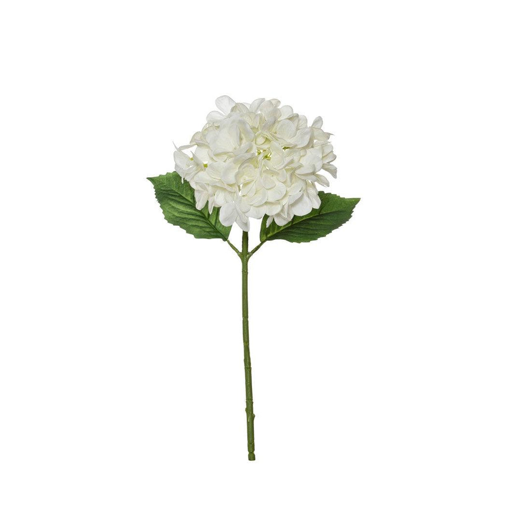 RSTC  Garden Hydrangea Stem | White available at Rose St Trading Co
