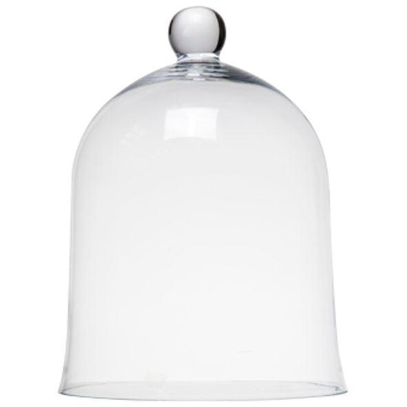 RSTC  Glass Dome | Small available at Rose St Trading Co