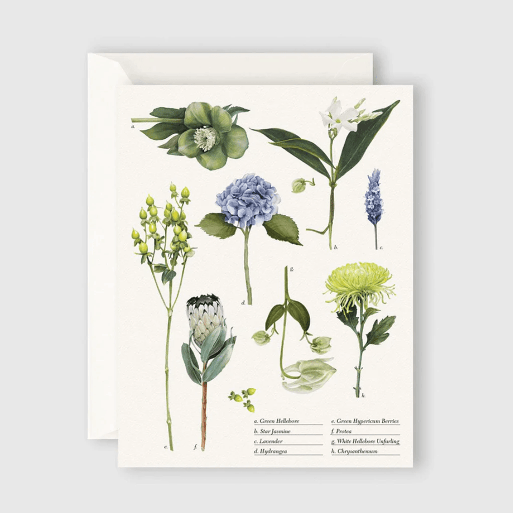 Father Rabbit  Greeting Card | Botanical Collection available at Rose St Trading Co