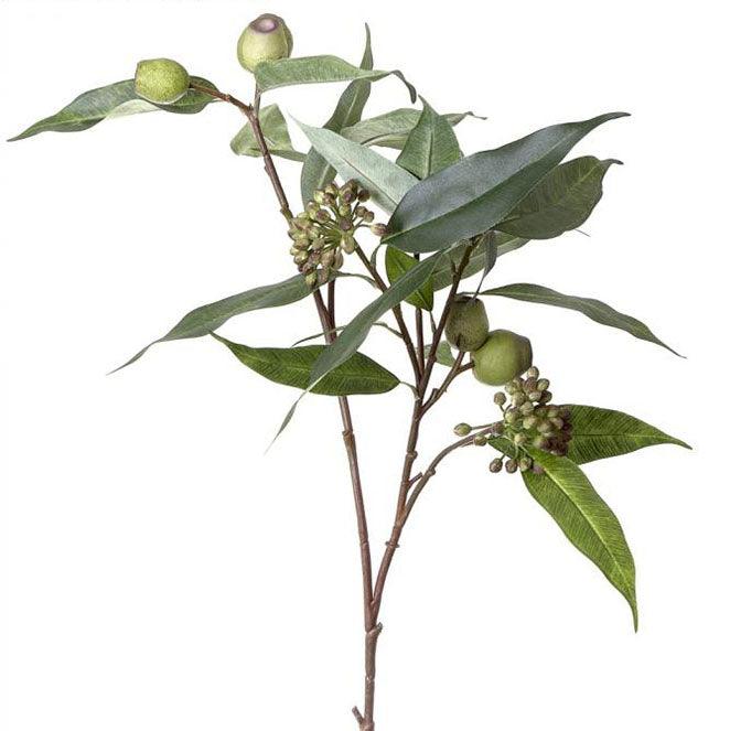 RSTC  Gumnut Eucalyptus Seed Spray 82cm Green available at Rose St Trading Co
