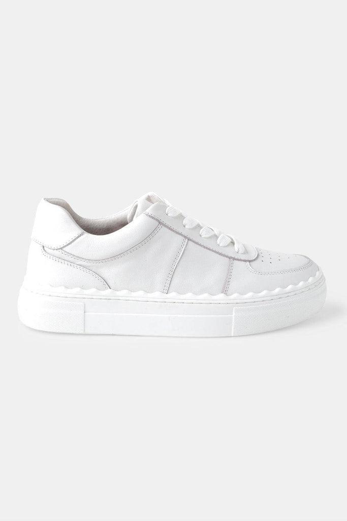 Houston Sneaker | White by Walnut in stock at Rose St Trading Co