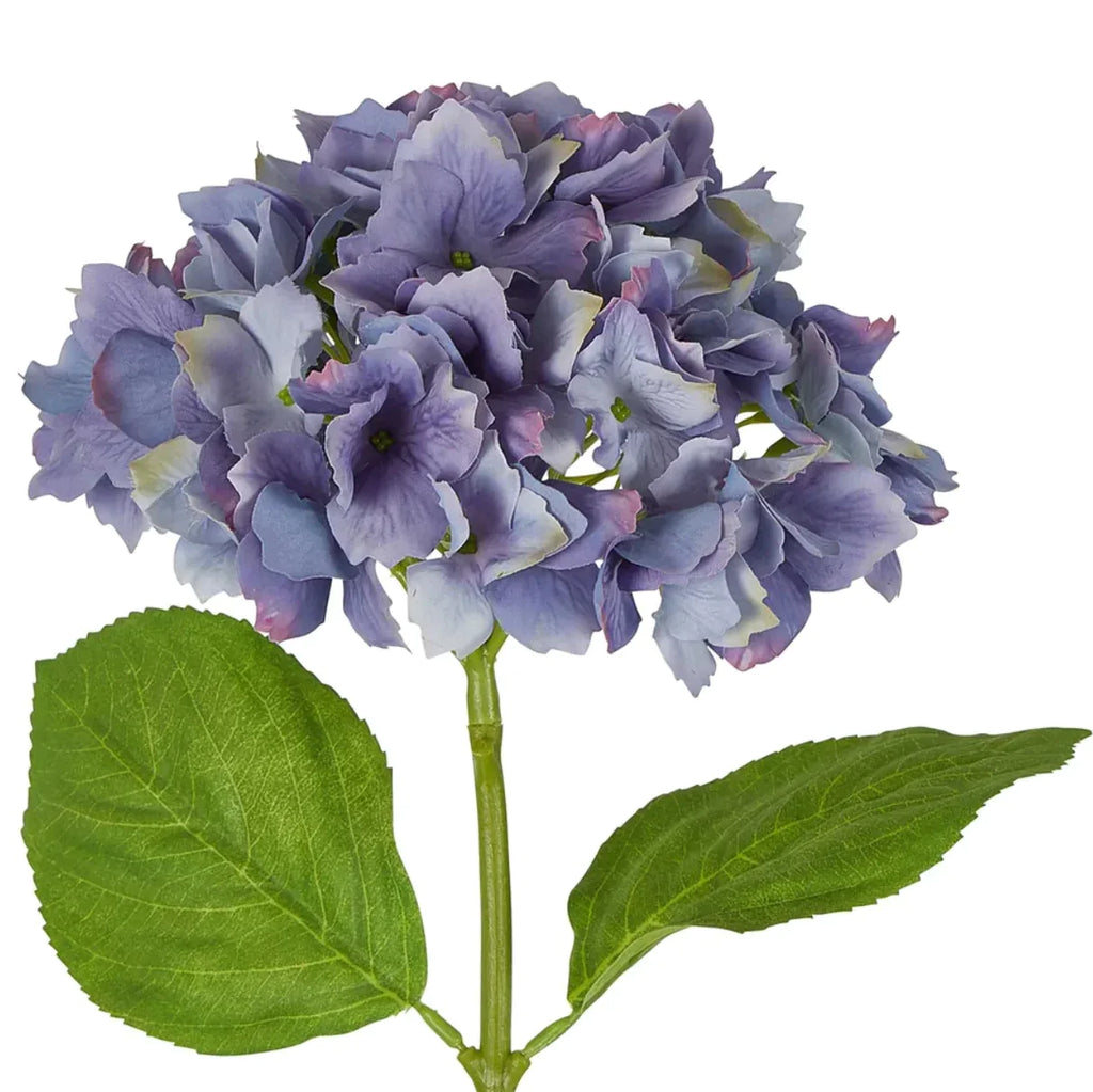 RSTC  Hydrangea Stem | 50cm Blue available at Rose St Trading Co