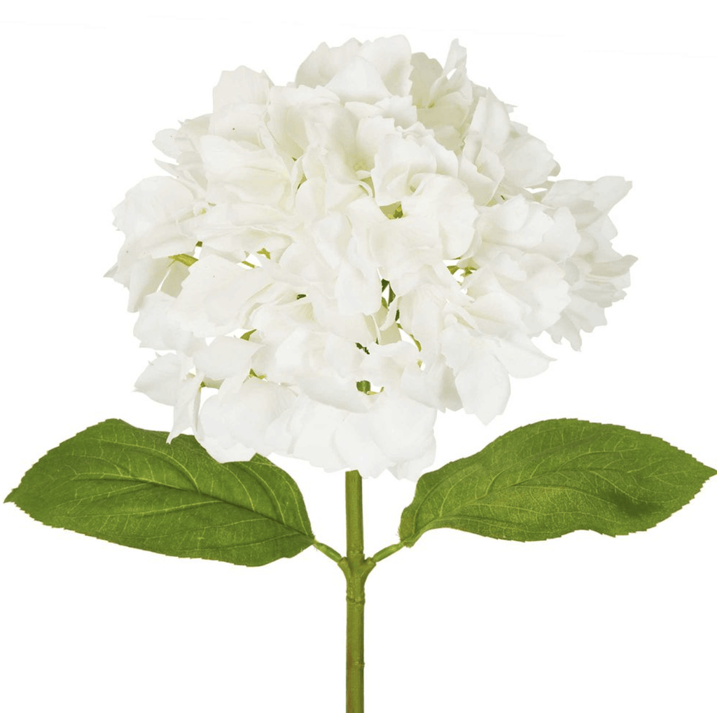 RSTC  Hydrangea Stem | 50cm Classic White available at Rose St Trading Co
