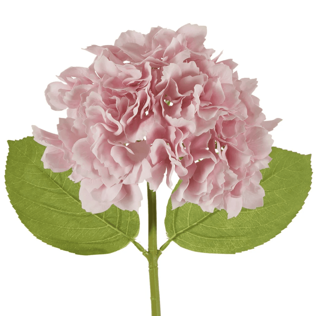 RSTC  Hydrangea Stem | 50cm Mid Pink available at Rose St Trading Co
