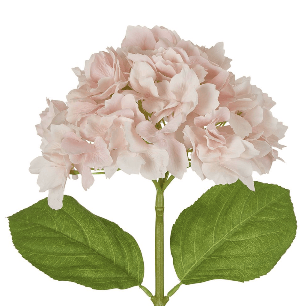 RSTC  Hydrangea Stem | 50cm Pink available at Rose St Trading Co