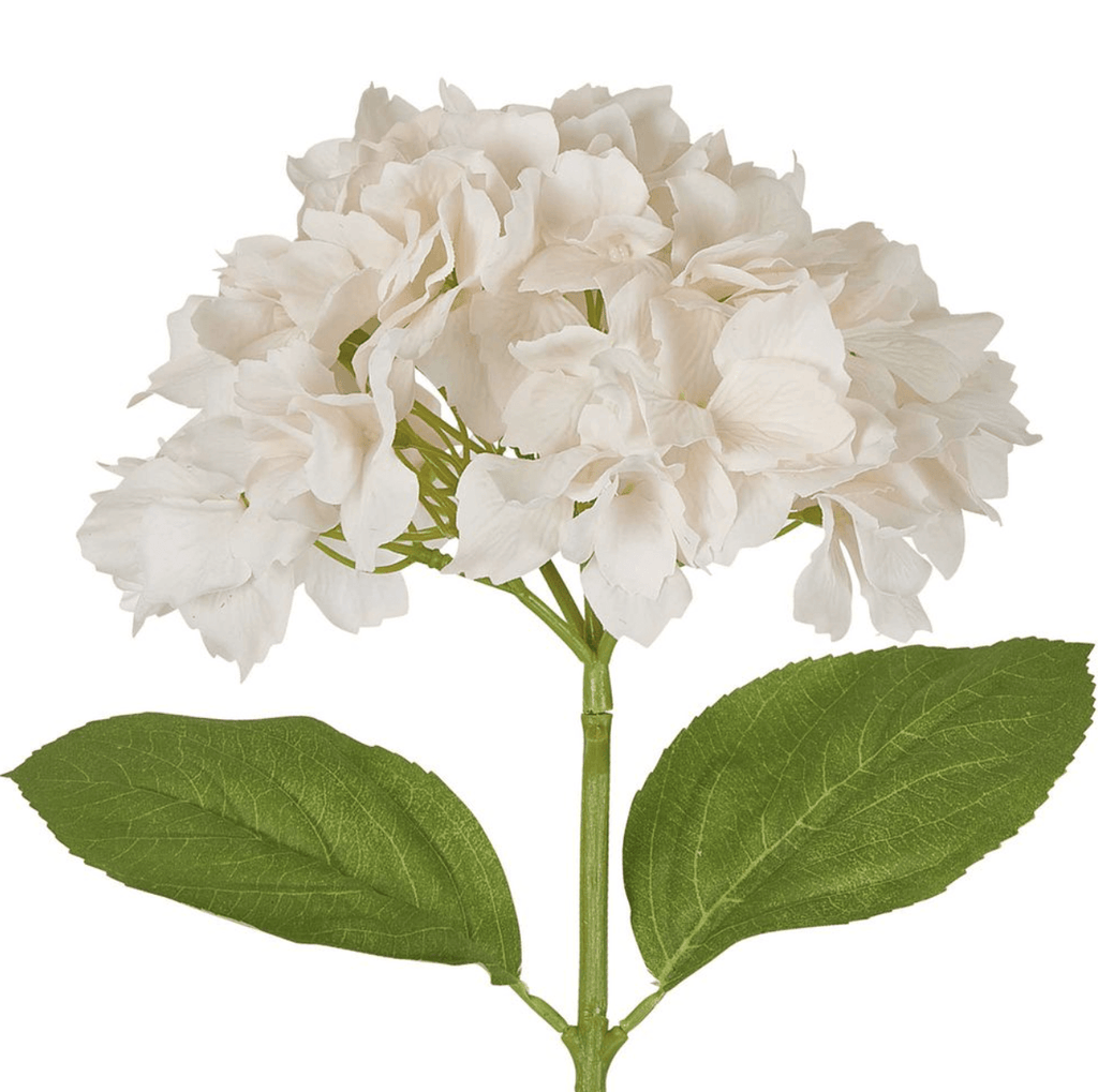 RSTC  Hydrangea Stem | 50cm White Pink available at Rose St Trading Co