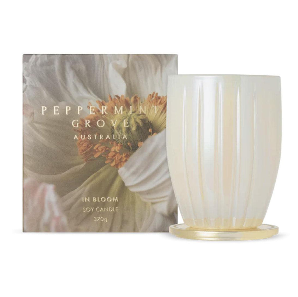 Peppermint Grove  In Bloom | Standard Candle available at Rose St Trading Co