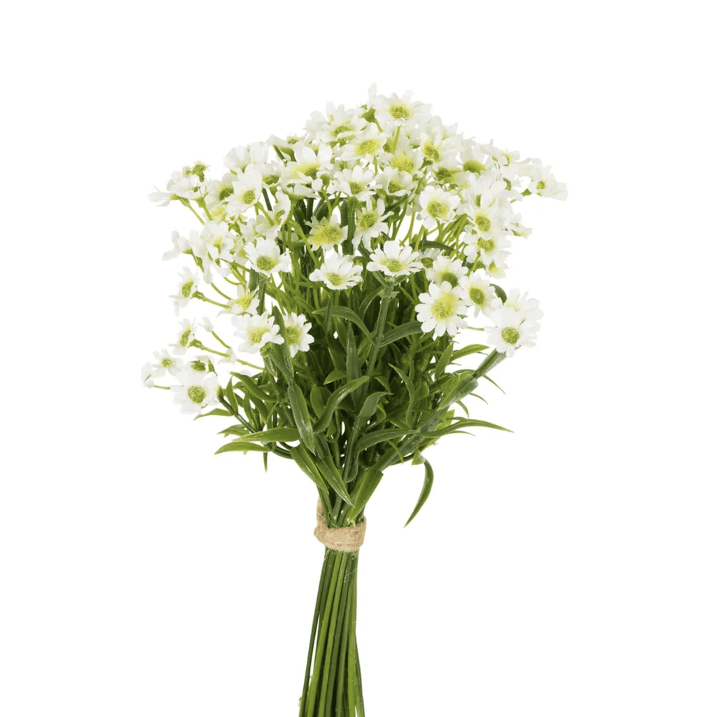 RSTC  Mini Daisy Bouquet | White available at Rose St Trading Co