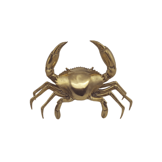 RSTC  Mud Crab | Large available at Rose St Trading Co