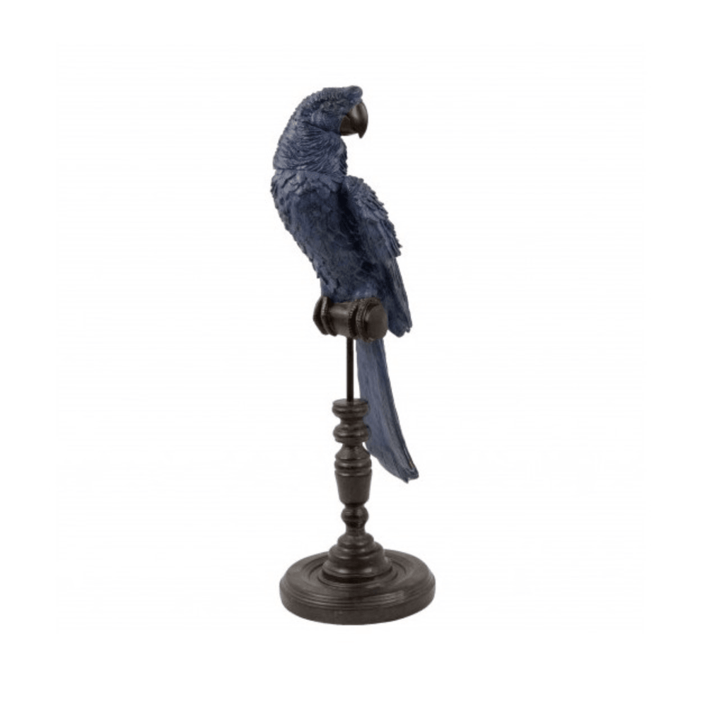 C.A.M.  Orn Aviary Parrot | Indigo available at Rose St Trading Co