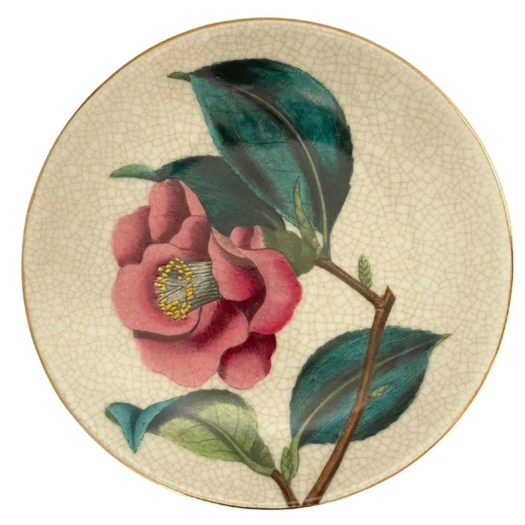 Paradiso Wall Plate | Camellia by C.A.M. in stock at Rose St Trading Co