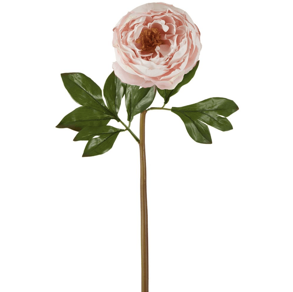 RSTC  Peony Flower | Pink Large available at Rose St Trading Co