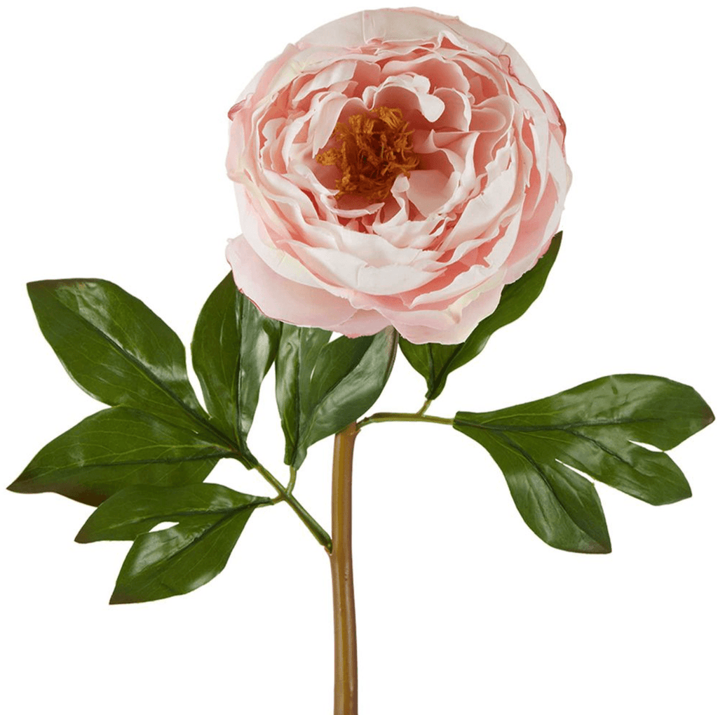 RSTC  Peony Flower | Pink Large available at Rose St Trading Co