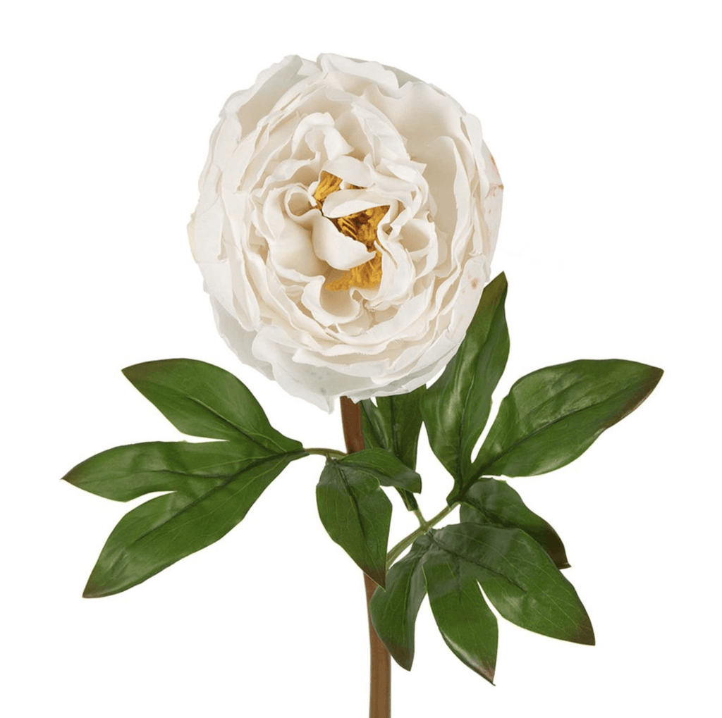 RSTC  Peony Flower | White Large available at Rose St Trading Co